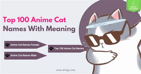 Anime Cat Porn Videos 